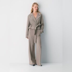 Aritzia Babaton Leeway Pant - Sway Crepe